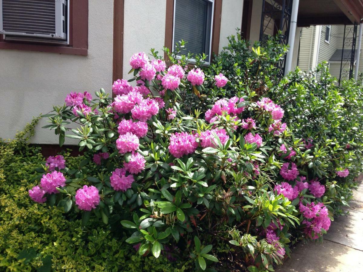 Bowers House Bnb Harvard Mit Cambridge Boston 서머빌 외부 사진